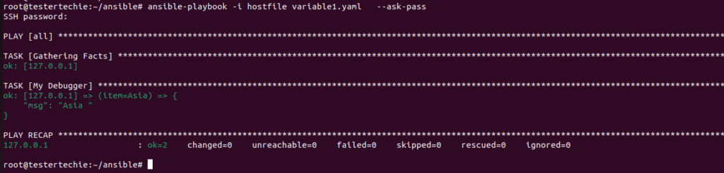 How to use different Ansible variables with examples